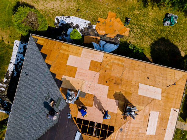 Roof Gutter Cleaning in Derby, CT