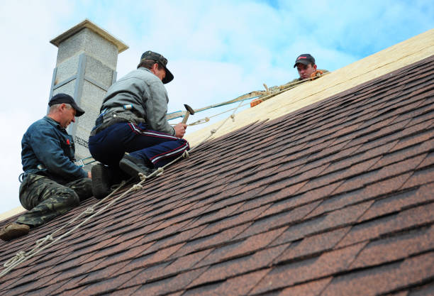 Professional Roofing Contractor in Derby, CT